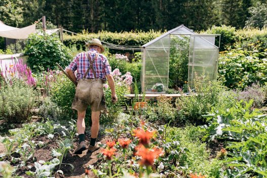 Orth Biobauernhof Blumen-, Obst- und Gemüsegarten