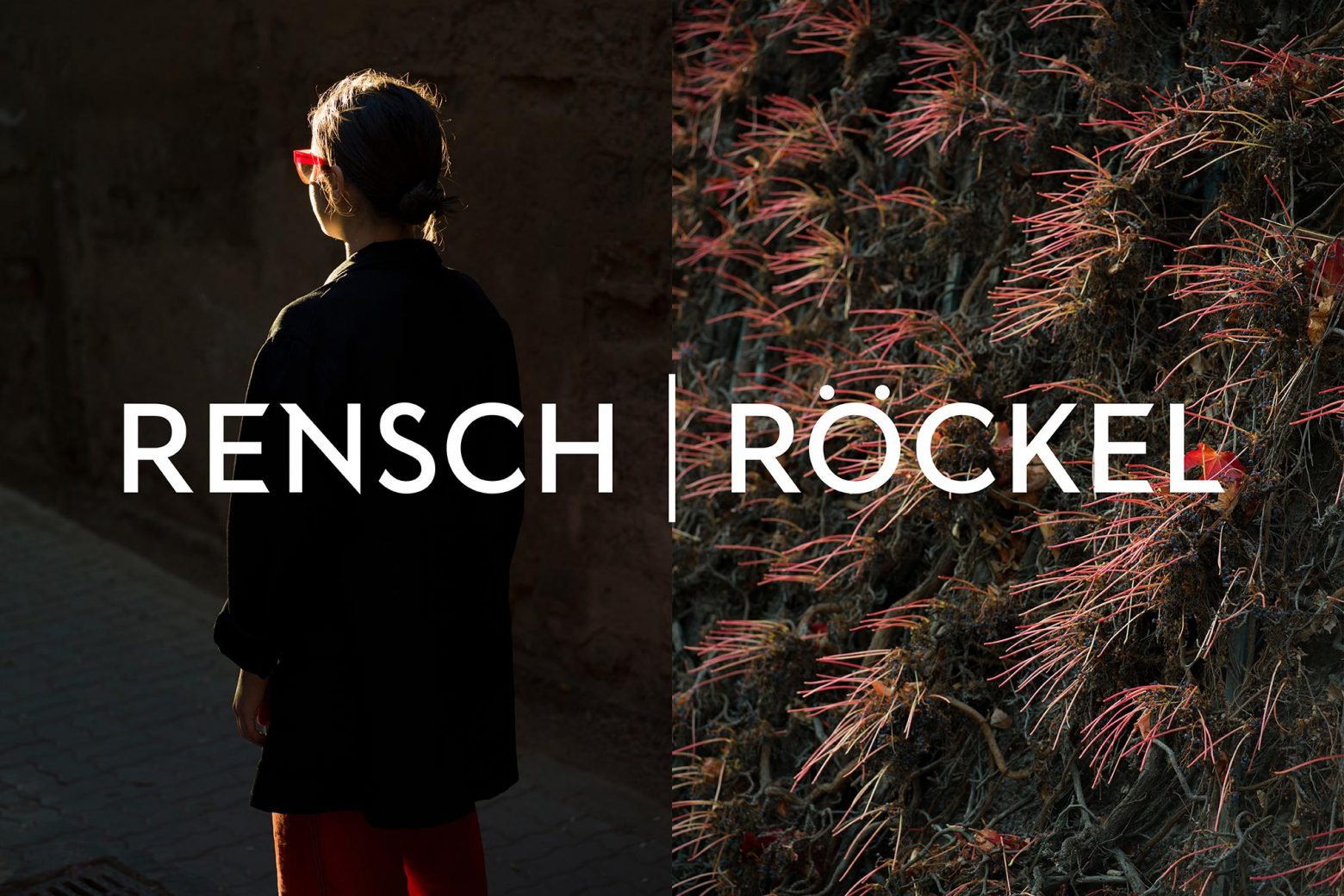 Rensch | Röckel | HammerAlbrecht