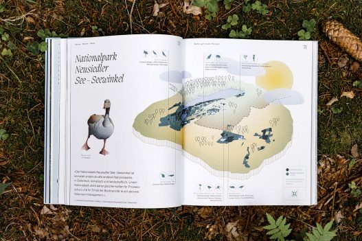 Naturvertrauen: Die Wildnis der Nationalparks Österreichs Buch