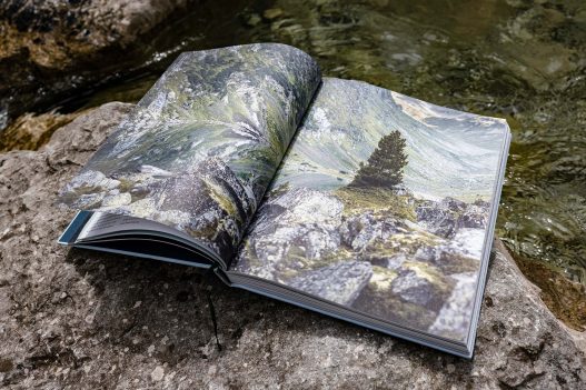 Naturvertrauen: Die Wildnis der Nationalparks Österreichs Buch