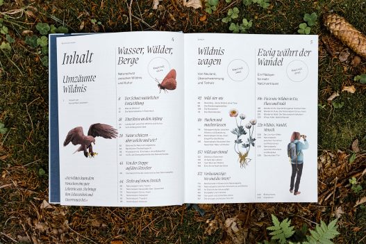 Naturvertrauen: Die Wildnis der Nationalparks Österreichs Buch