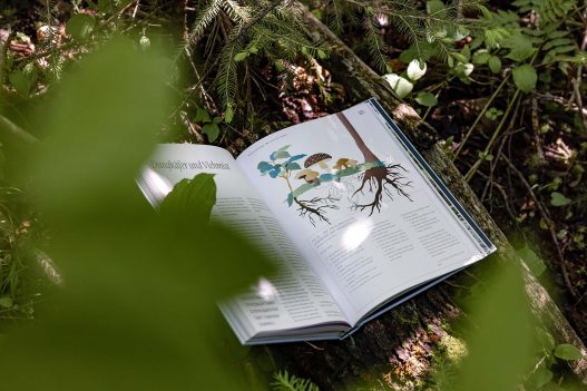 Naturvertrauen: Die Wildnis der Nationalparks Österreichs Buch