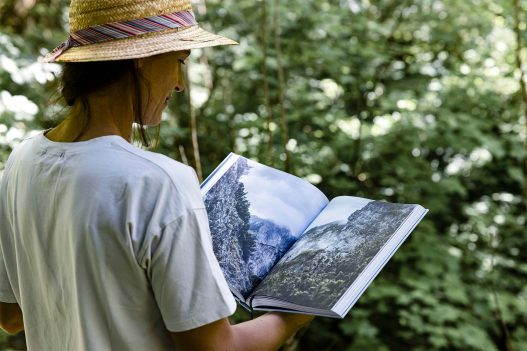 Naturvertrauen: Die Wildnis der Nationalparks Österreichs Buch