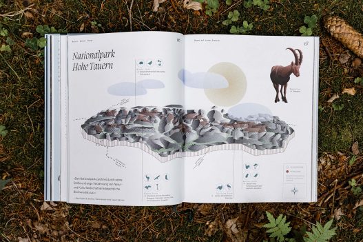 Naturvertrauen: Die Wildnis der Nationalparks Österreichs Buch