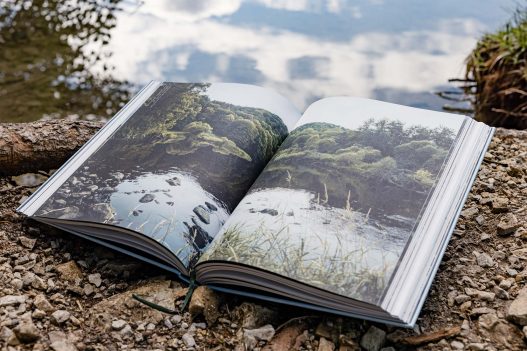 Naturvertrauen: Die Wildnis der Nationalparks Österreichs Buch