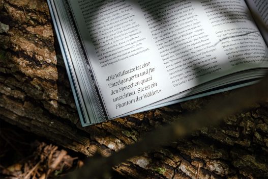 Naturvertrauen: Die Wildnis der Nationalparks Österreichs Buch
