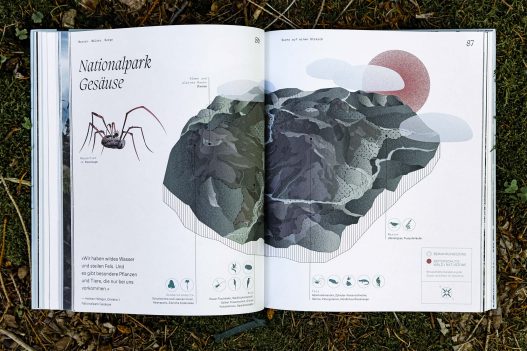 Naturvertrauen: Die Wildnis der Nationalparks Österreichs Buch