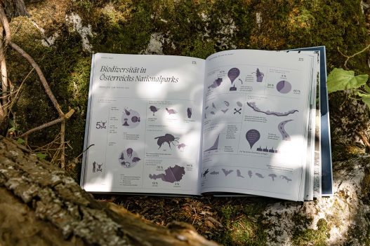 Naturvertrauen: Die Wildnis der Nationalparks Österreichs Buch