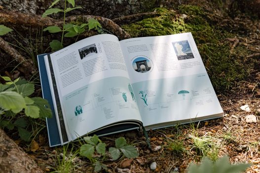 Naturvertrauen: Die Wildnis der Nationalparks Österreichs Buch