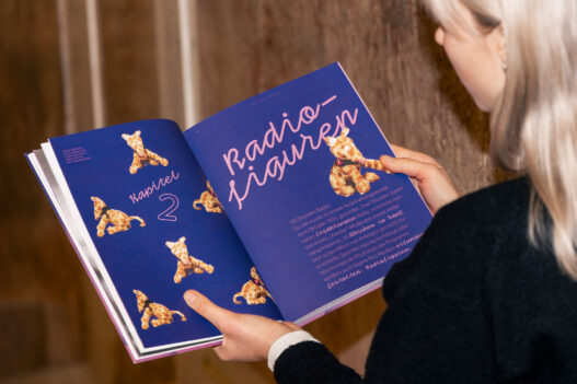 100 Years of Radio in Austria book