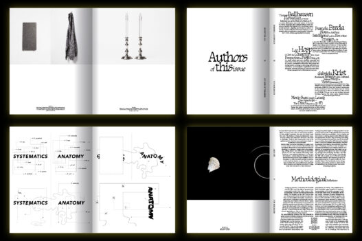 Reposition Magazine Issue 2 spreads